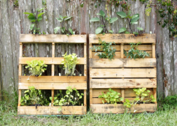 Comment alléger une jardinière ?