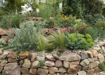 Comment amenager son jardin à moindre coût ?