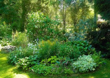 Comment aménager un jardin de 400m2 ?