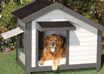Comment aménager une niche pour chien ?