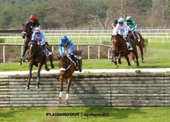 Comment appelle T-ON un troupeau de chevaux ?