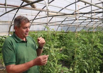 Comment attacher des jardinières ?