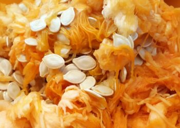 Comment avoir des graines de Pampa ?