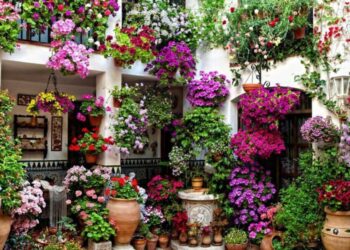 Comment avoir un balcon fleuri ?