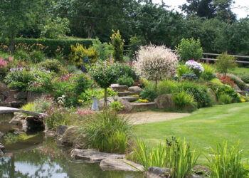 Comment avoir un beau jardin sans entretien ?