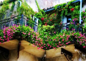 Comment avoir un joli balcon ?