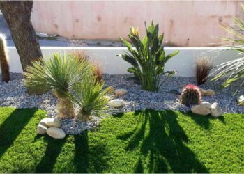 Comment avoir un paon dans son jardin ?