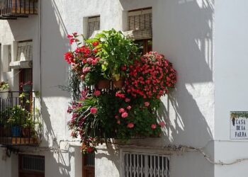 Comment bien fleurir son balcon ?