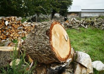 Comment bien poncer un rondin de bois ?