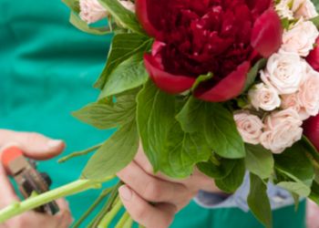Comment bien s'occuper d'un bouquet de fleur ?