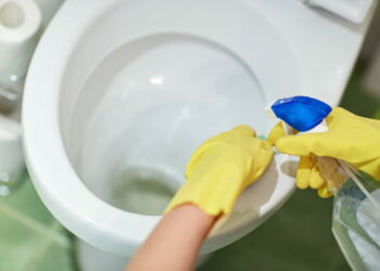 Comment blanchir la brosse WC ?