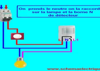 Comment brancher les fils d'une lampe ?