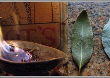 Comment brûler de lencens dans une maison ?