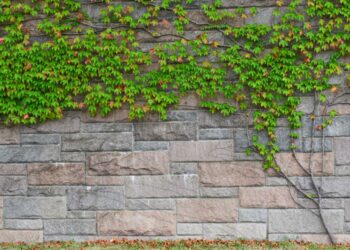 Comment cacher la misère sur un mur ?