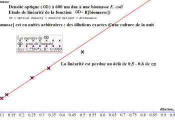 Comment calculer des ml en l ?