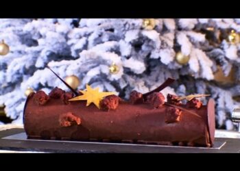 Comment choisir bûche Ecologique ?