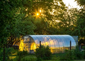 Comment choisir la bonne serre ?