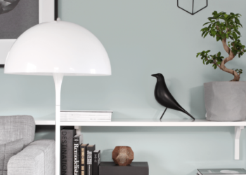 Comment choisir le bon vert pour ses murs ?