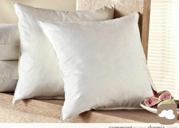 Comment choisir un oreiller en plumes ?