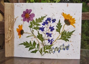 Comment coller des fleurs séchées sur du papier ?