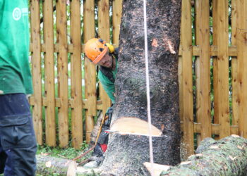 Comment confectionner un arbre ?