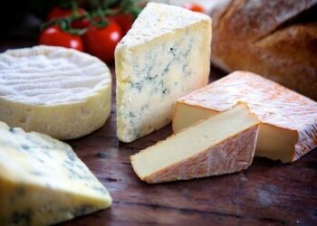 Comment conserver du fromage pour qu'il ne moisisse pas ?
