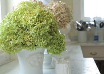 Comment conserver la couleur des fleurs que l'on fait sécher ?