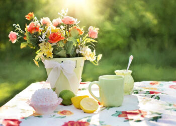 Comment conserver la fleur de coton ?