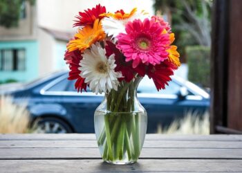 Comment conserver les fleurs coupées plus longtemps ?