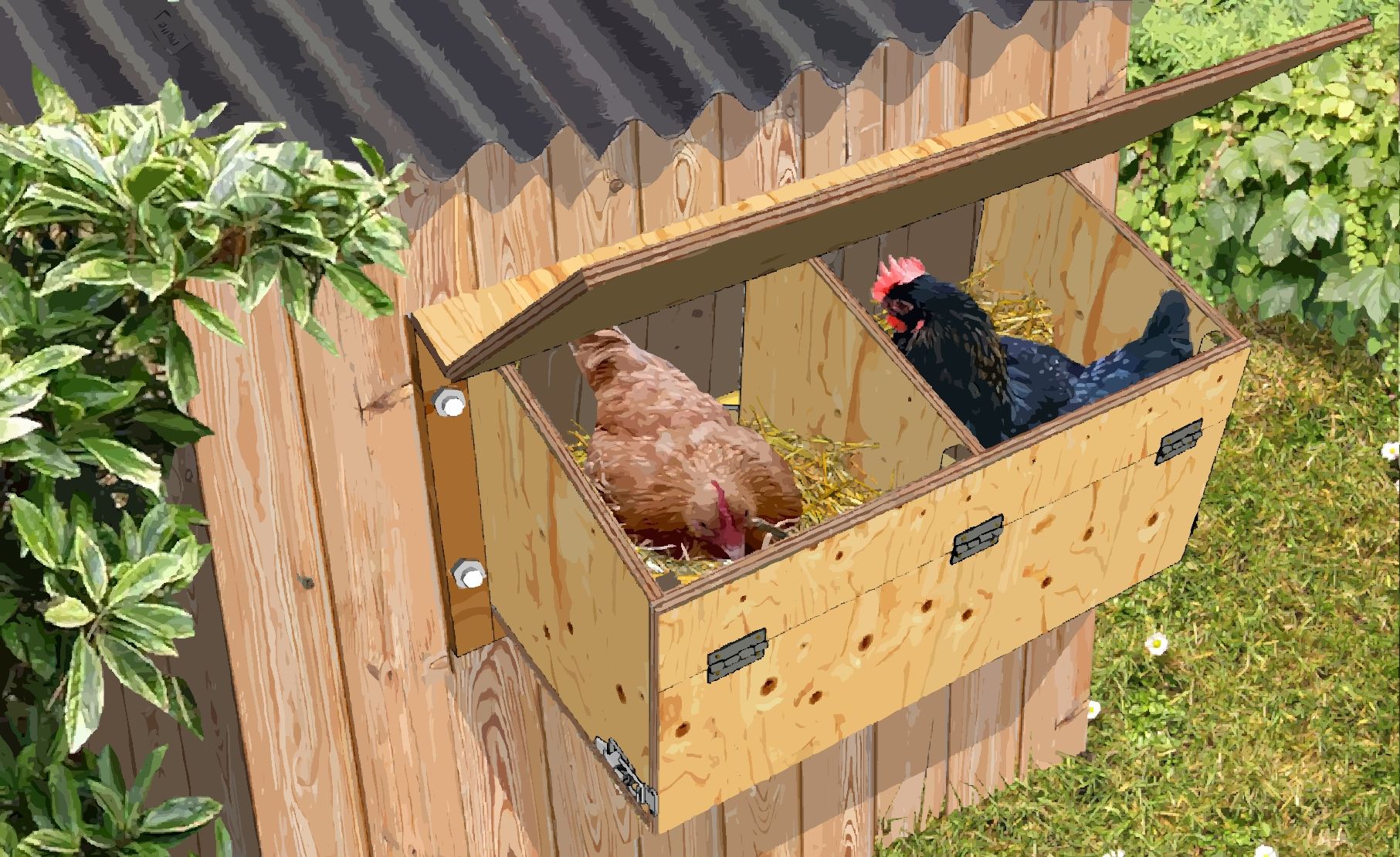Comment Faire Une Maison Pour Les Poules