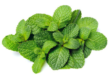 Comment cuisiner la Fleur de menthe ?
