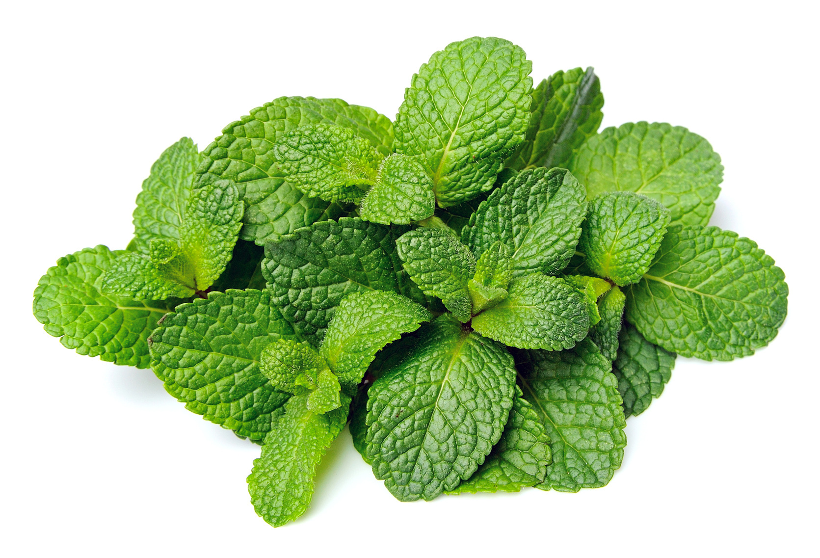 Comment cuisiner la Fleur de menthe