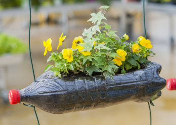 Comment customiser une jardiniere en plastique ?