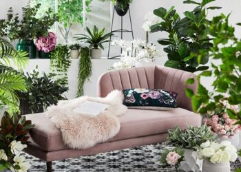 Comment décorer son salon avec des plantes ?