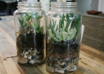 Comment décorer un grand bocal en verre ?