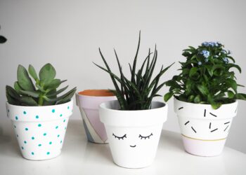 Comment décorer un pot en terre ?