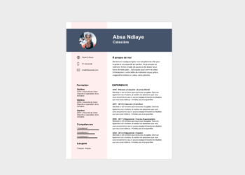 Comment déposer un CV à Auchan ?