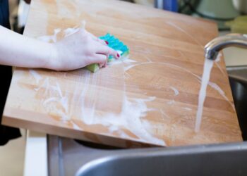 Comment désinfecter du bois ?