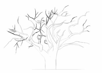 Comment dessiner les branches d'un arbre ?