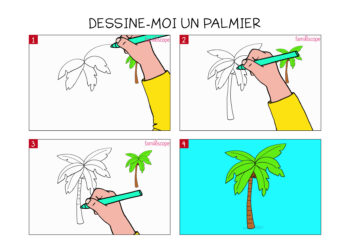 Comment dessiner une feuille de palmier ?