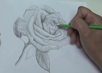 Comment dessiner une fleur des vents ?
