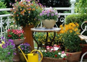 Comment disposer les plantes dans un jardin ?