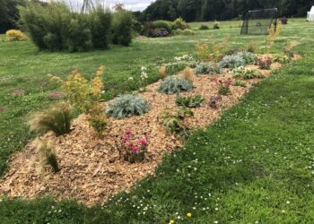 Comment disposer les plantes dans un massif ?