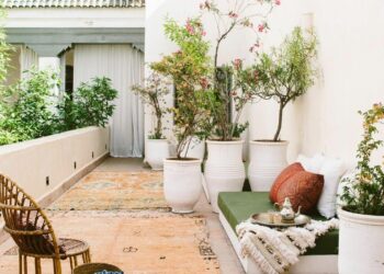 Comment disposer les plantes sur une terrasse ?