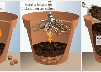 Comment drainer un pot sans trou ?