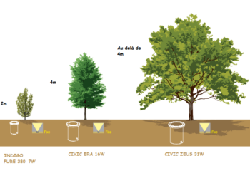 Comment éclairer un grand arbre ?