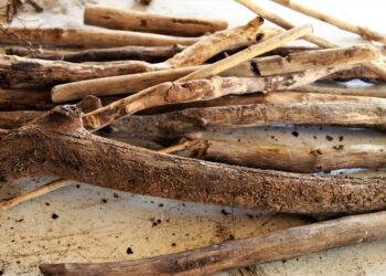 Comment écrire sur du bois flotté ?
