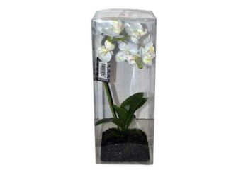 Comment emballer une plante verte avec du papier transparent ?