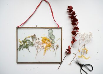Comment encadrer des fleurs séchées ?