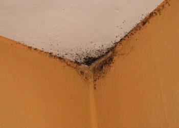 Comment enlever des taches d'humidité sur du papier fibre de verre ?